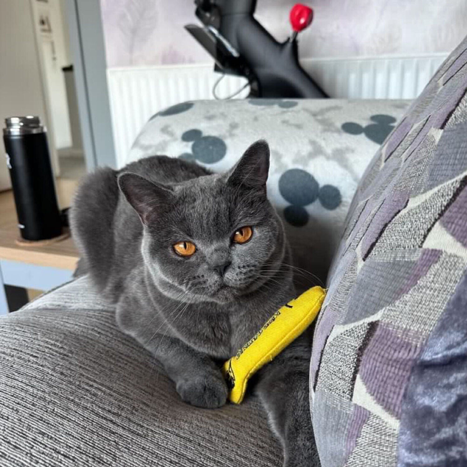 King Catnip Sprat Cat Toy With Organic Catnip
