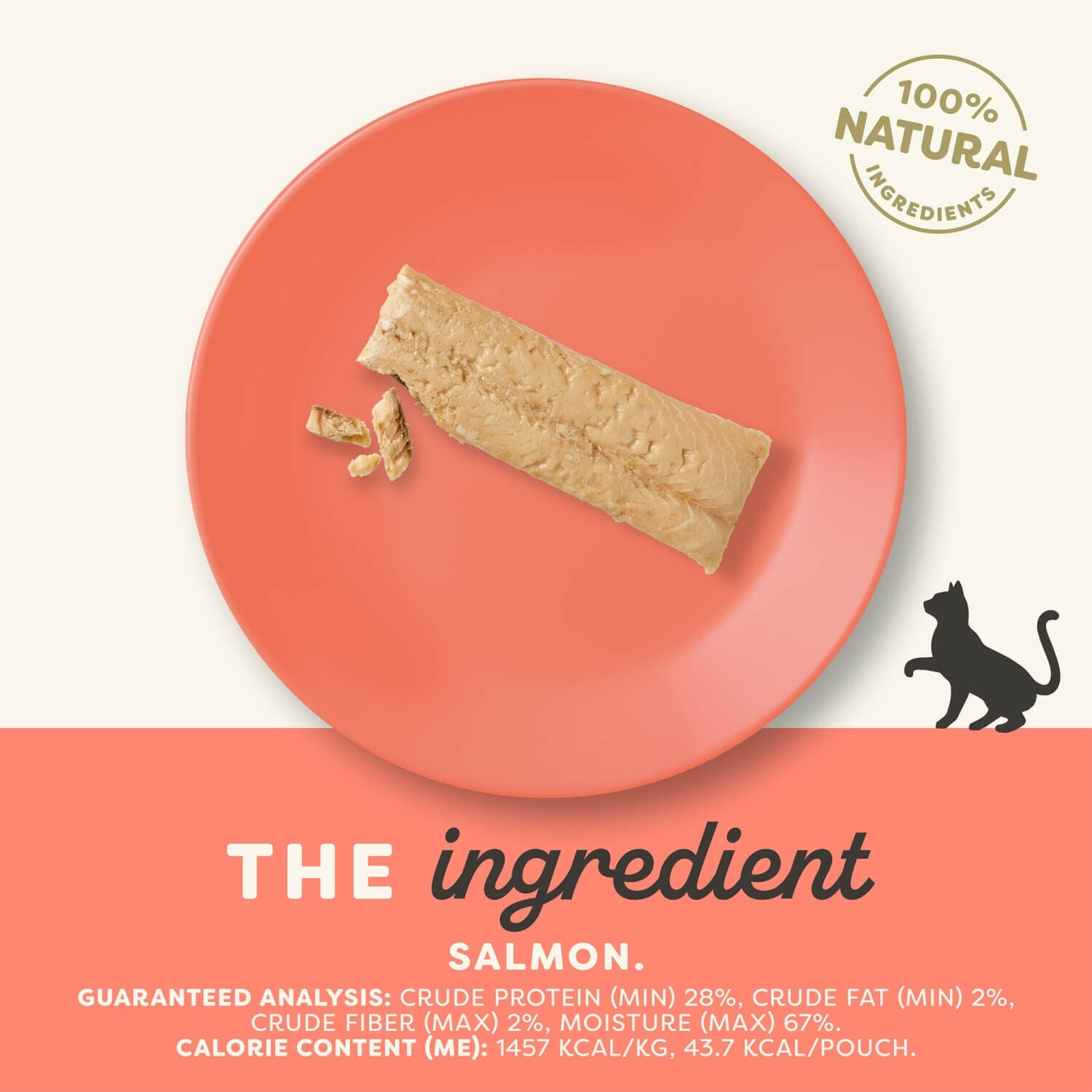 Applaws Natural Salmon Filet Cat Treat