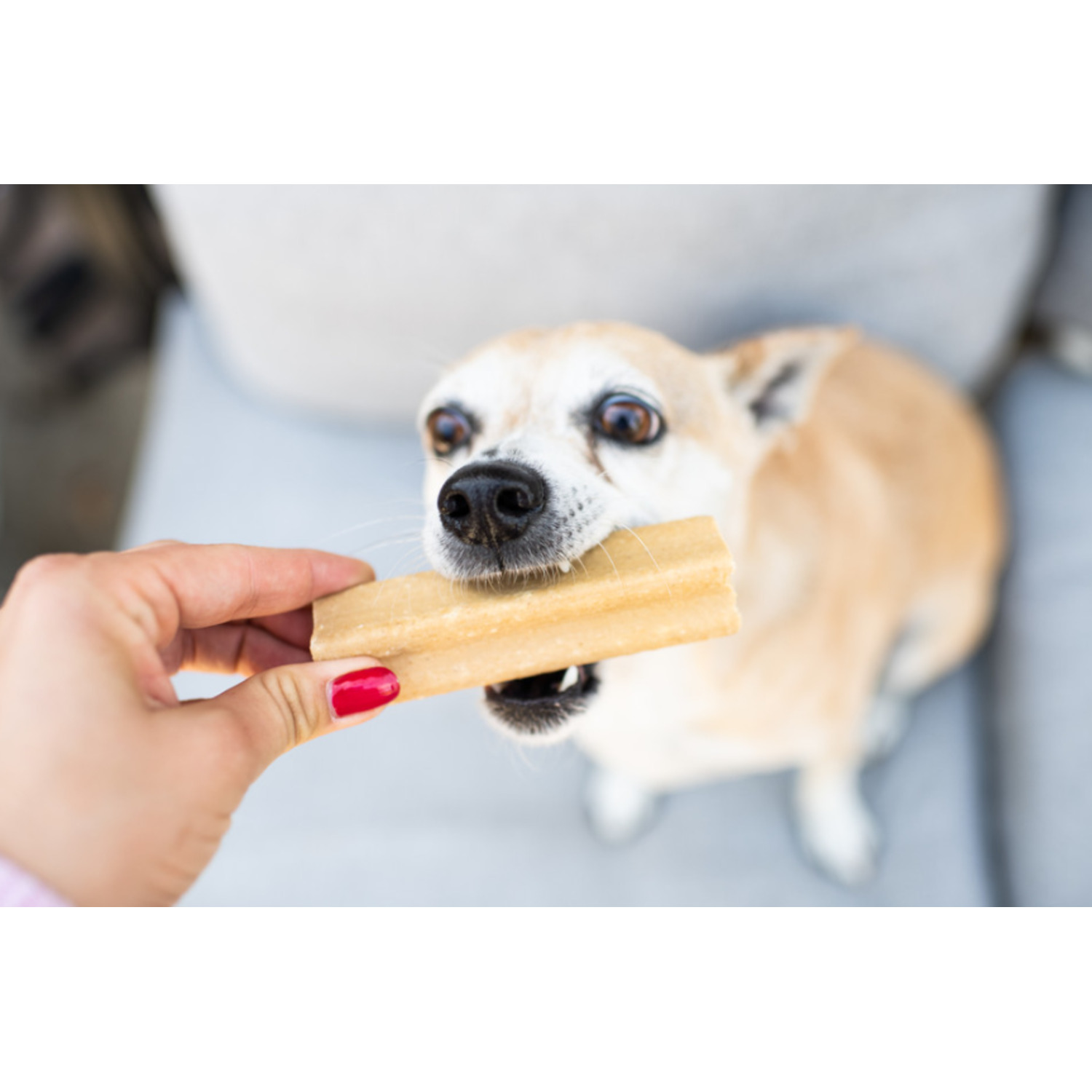 Loving Pets Yummy Bone Flavor Filled Dog Treat, Chicken 2.8Oz