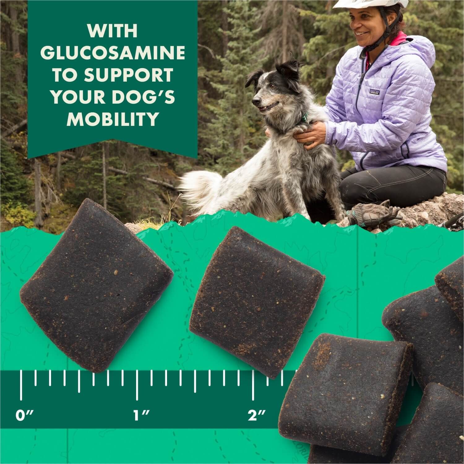 Zuke's Hip & Joint Soft & Chewy Dog Treats, Peanut Butter & Oats
