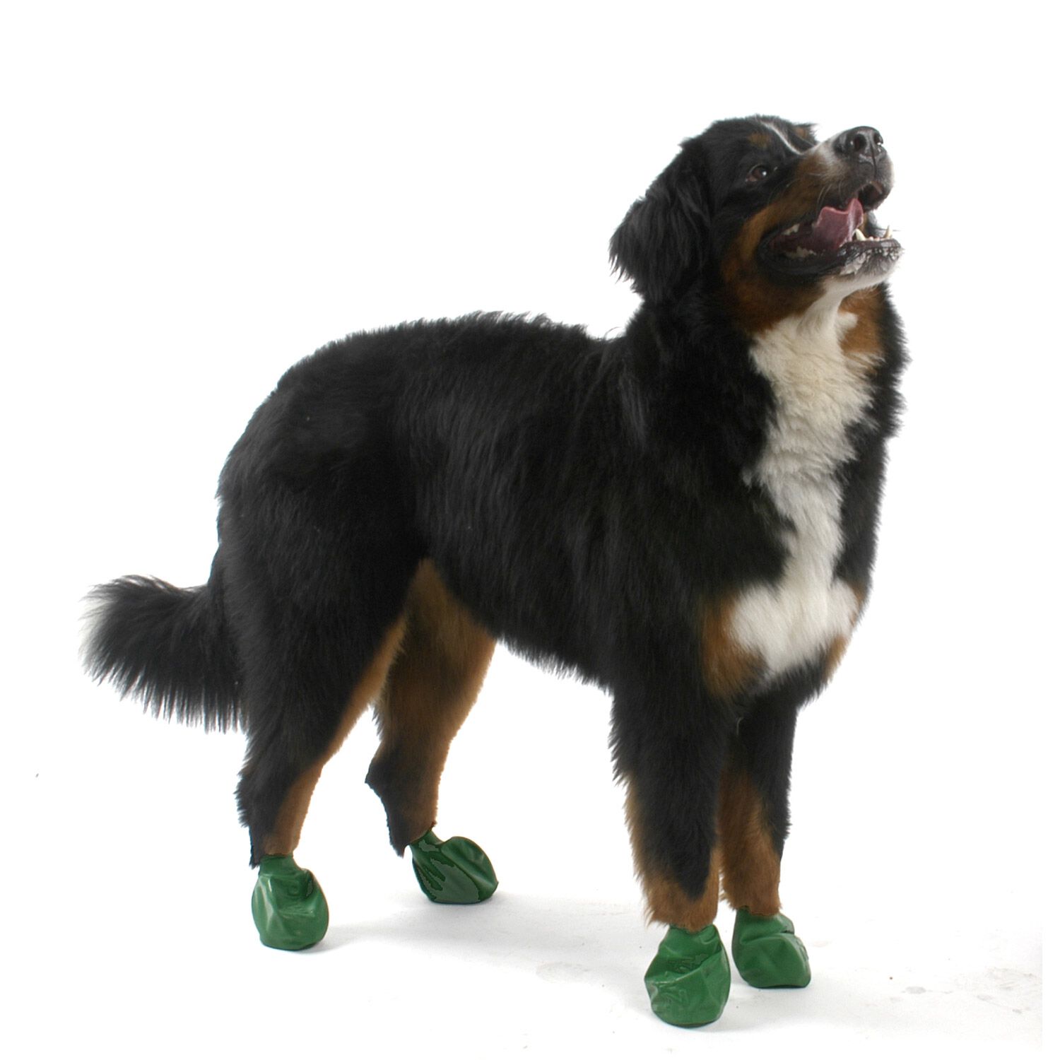 Pawz Rubber Waterproof Dog Boots, Tiny, Apple Green