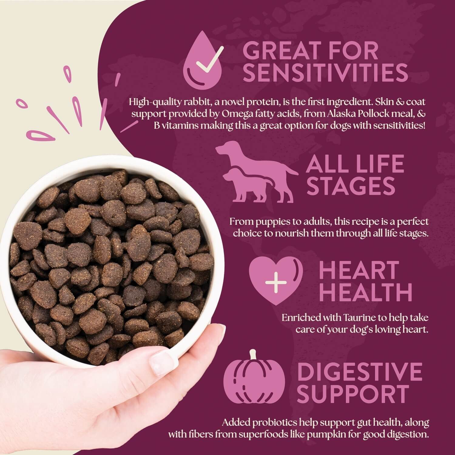 Earthborn Holistic Venture Limited Ingredient Rabbit Meal & Pumpkin Grain-Free Dry Dog Food