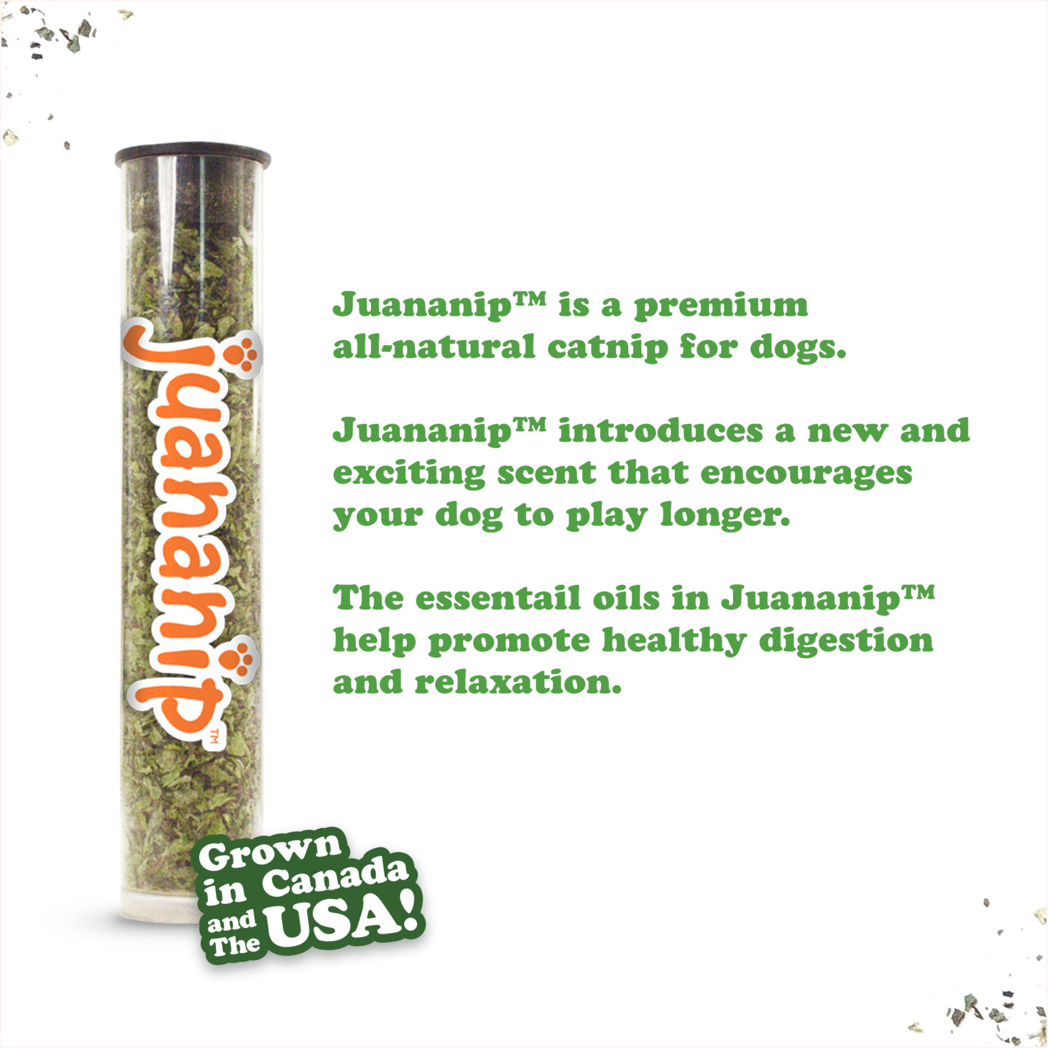 Doggijuana Tuffer Chewer Mini Whole Pepperoni Pizza Catnip Filled Durable Dog Toy