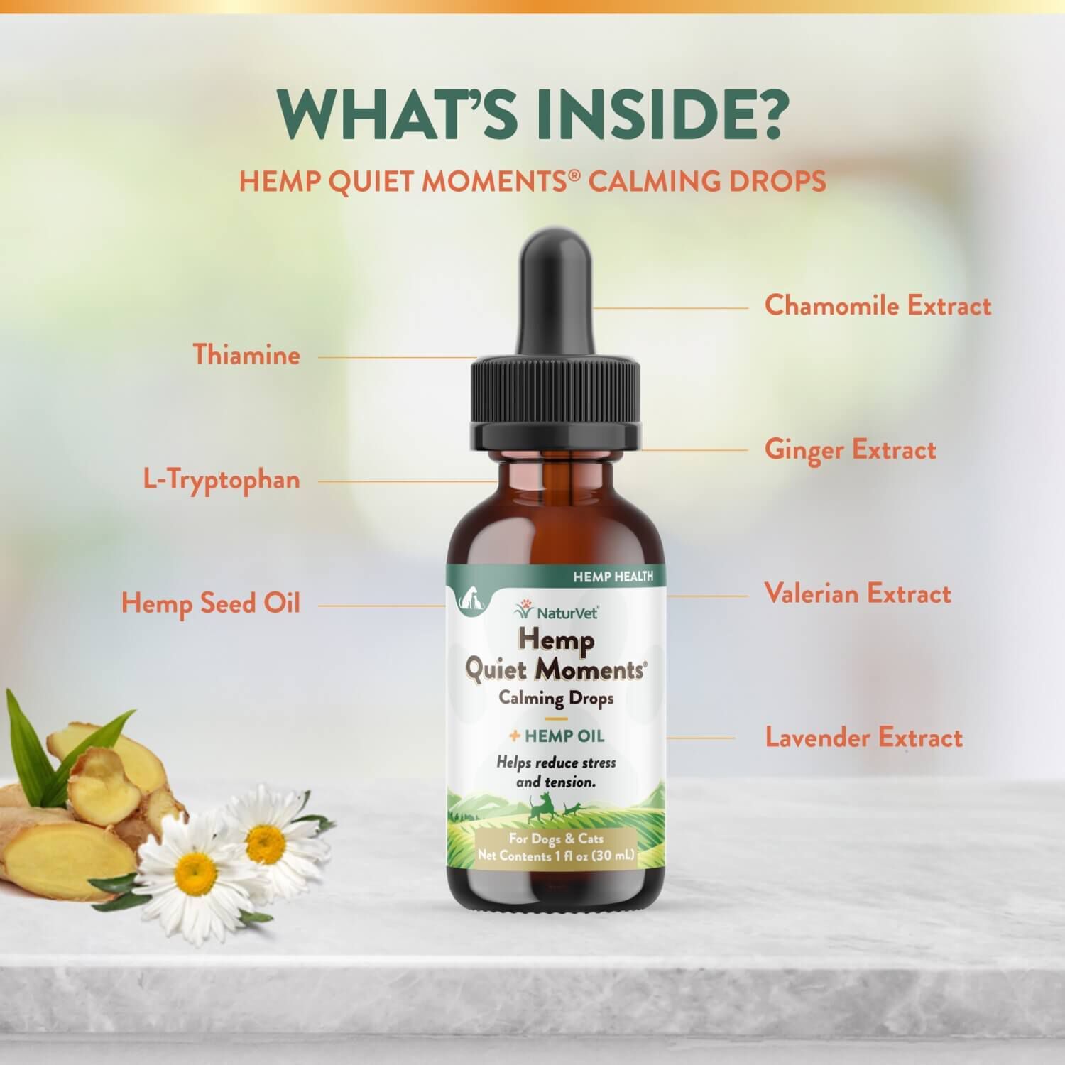 Naturvet Hemp Quiet Moments Calming Aid Drops For Dogs & Cats