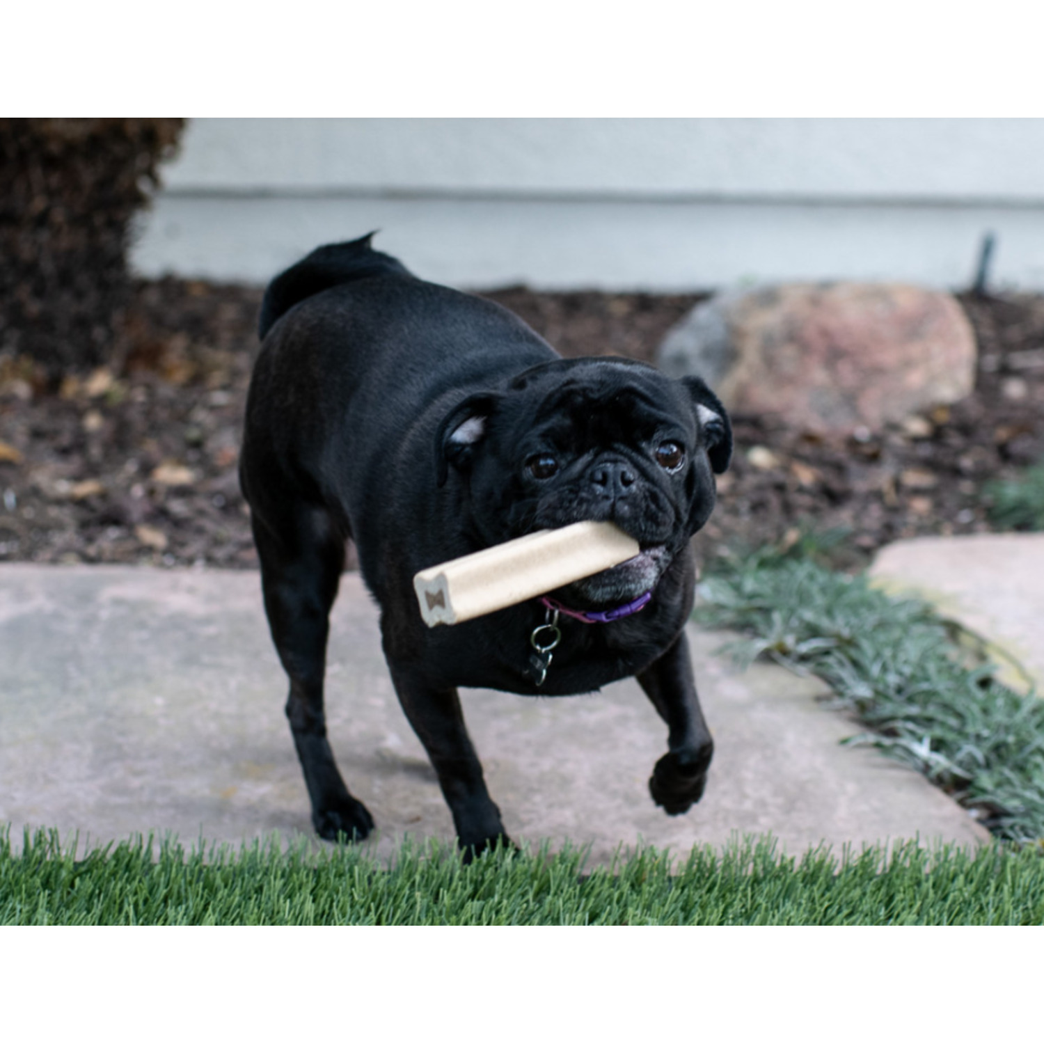Loving Pets Yummy Bone Flavor Filled Dog Treat, Chicken 2.8Oz