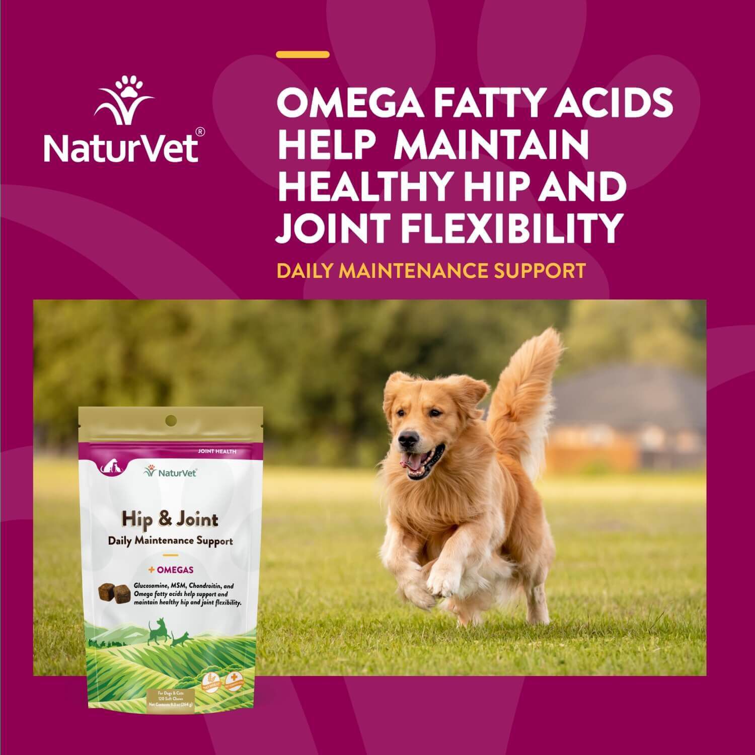 Naturvet Hip & Joint +Omegas Daily Maintenance Support Dog & Cat Soft Chews Supplements