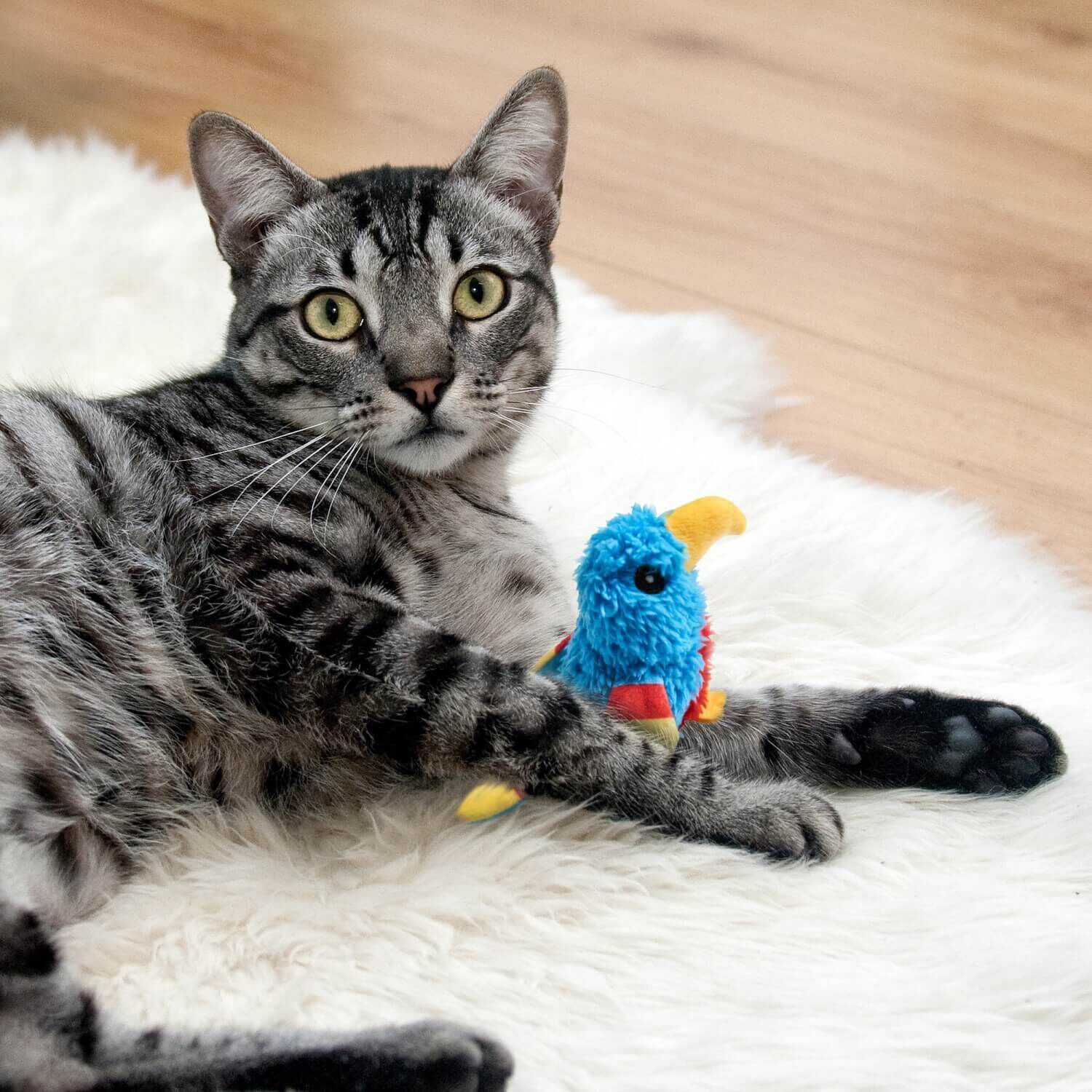 Spot Love The Earth Parrot Catnip Cat Toy - Assorted Colors
