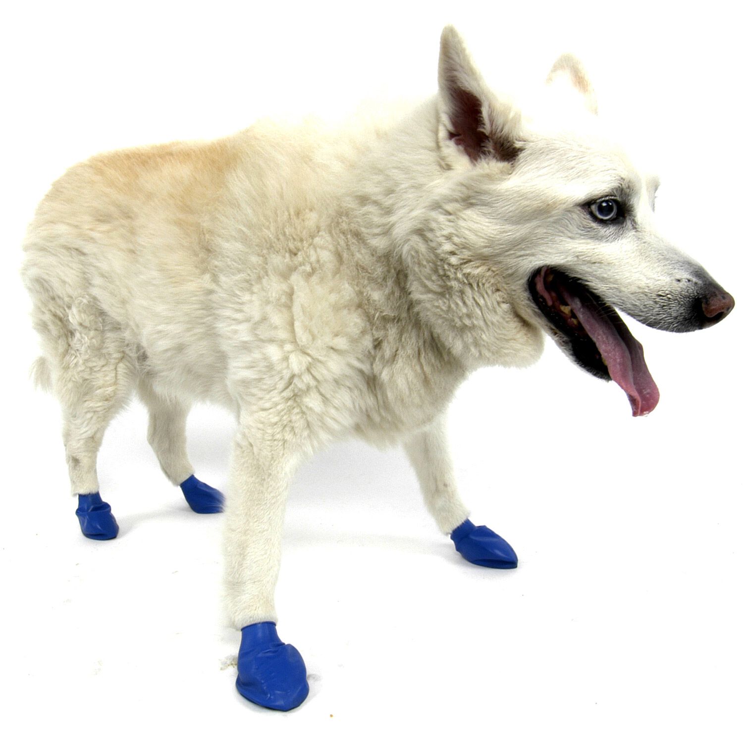 Pawz Rubber Waterproof Dog Boots, Tiny, Apple Green