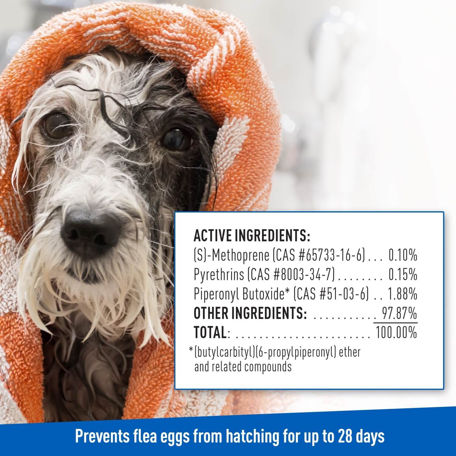 Adams Plus Flea & Tick Foaming Shampoo & Wash For Dogs & Puppies