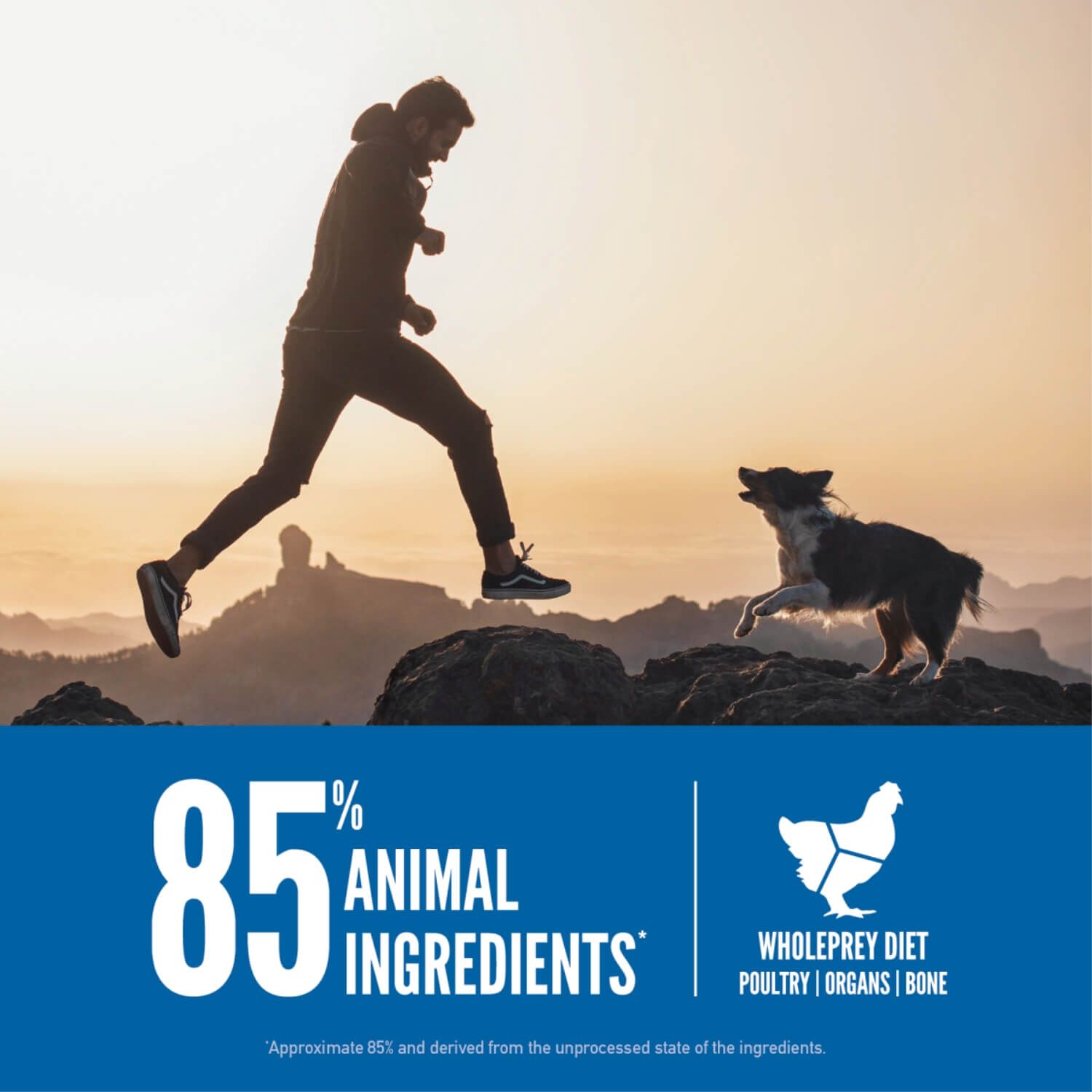Orijen Original Grain Free High Protein Dry Dog Food