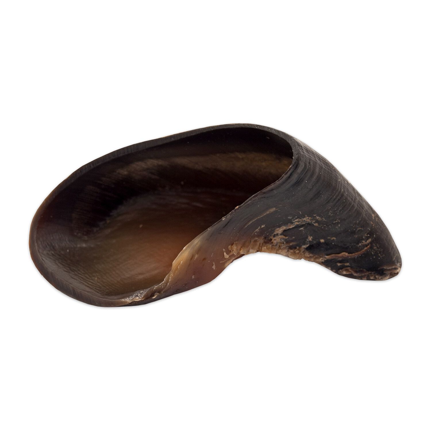 Ruffin' It Cow Hoof Dog Treat