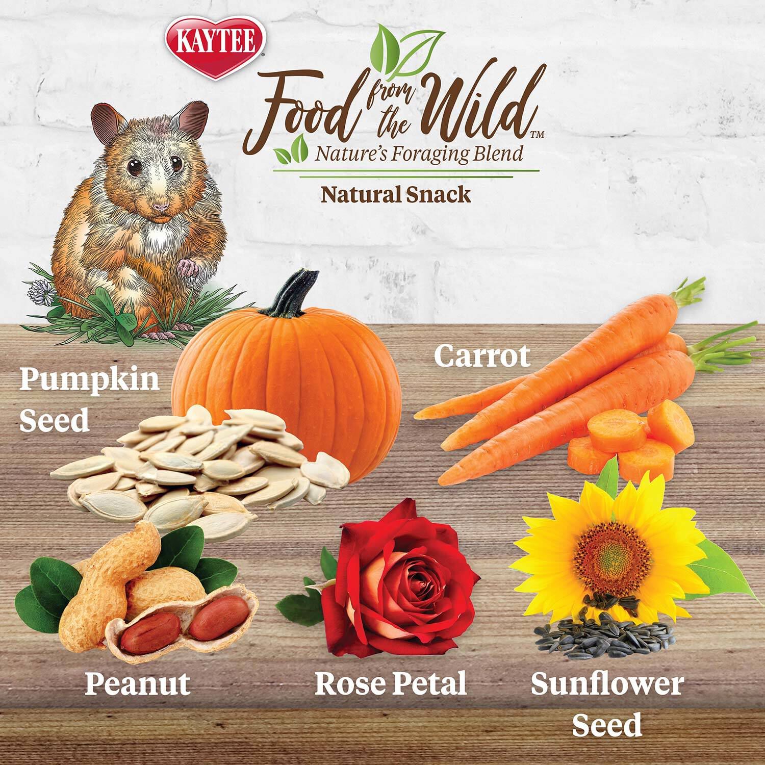 Kaytee Food From The Wild Natural Snack Small Animal Treat