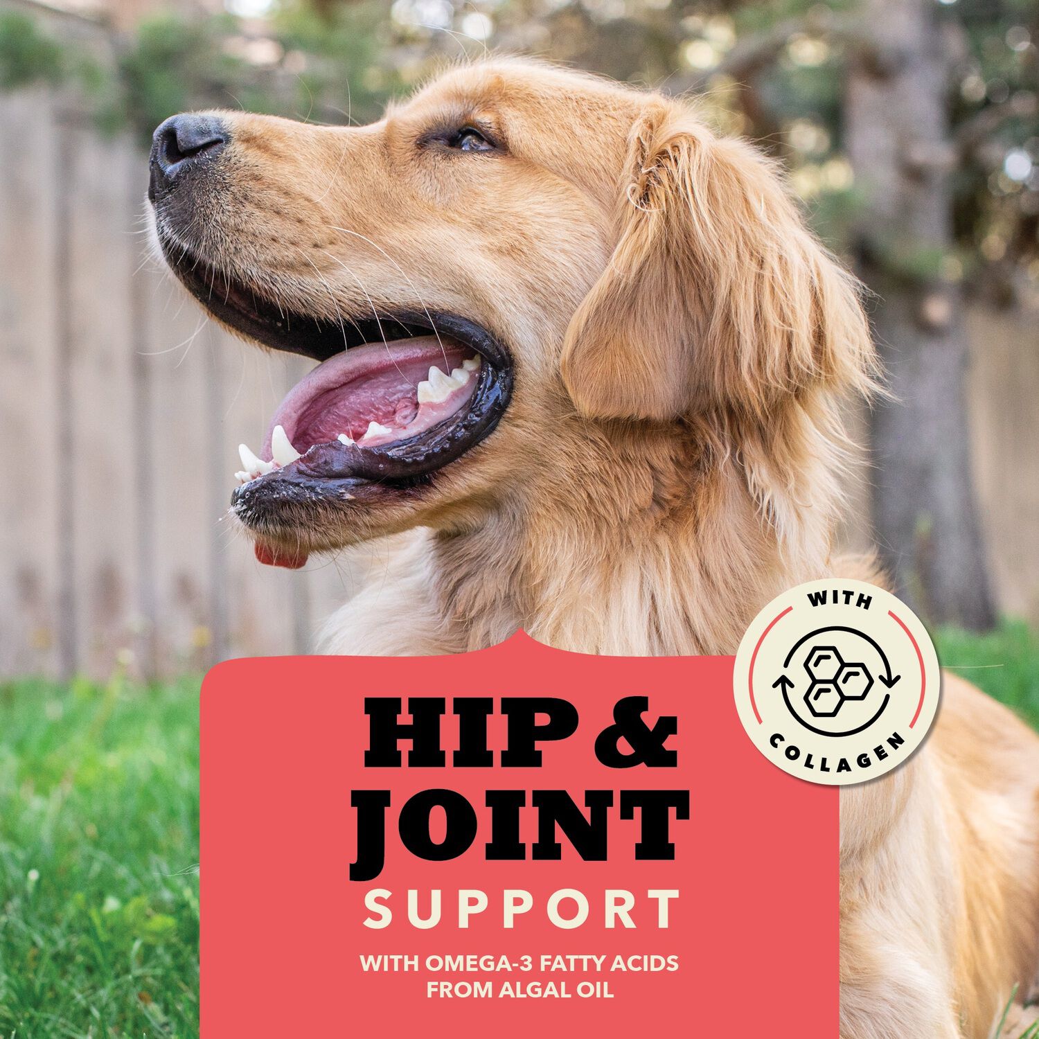 Acana Chewy Strips Hip & Joint Support Dog Treats, Beef Recipe, 4Oz