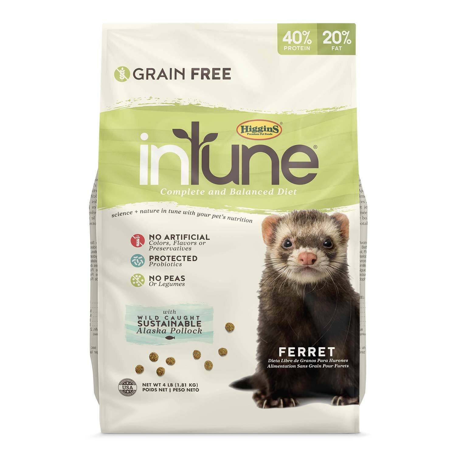 Intune Complete & Balanced Diet Ferret Food