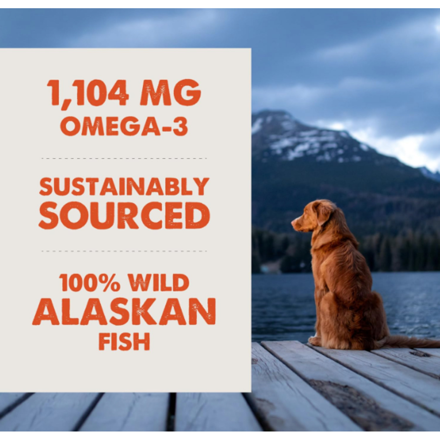 Grizzly Salmon Oil Plus Omega 3-6-9 Food Supplement For Dogs And Cats, 32-Ounce