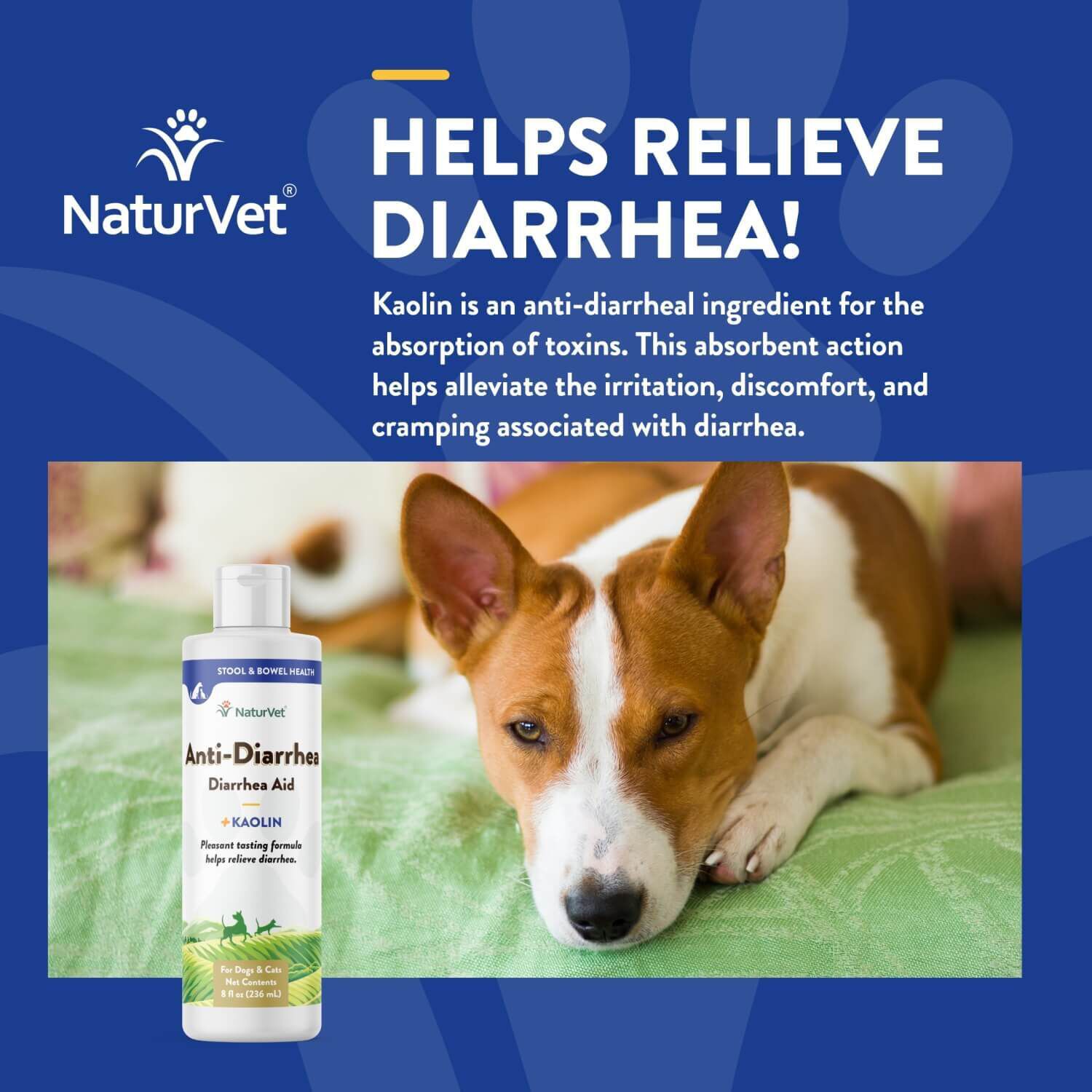 Naturvet Anti-Diarrhea + Kaolin Liquid Diarrhea Aid For Dogs & Cats