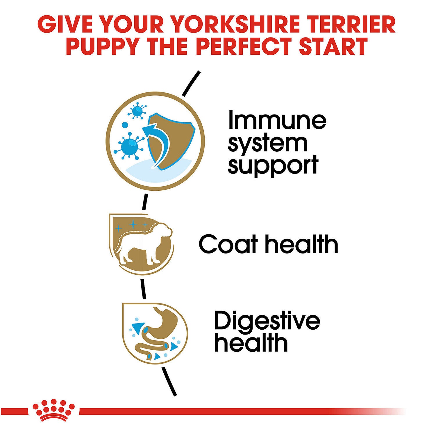 Royal Canin Breed Health Nutrition Yorkshire Terrier Puppy Dry Dog Food