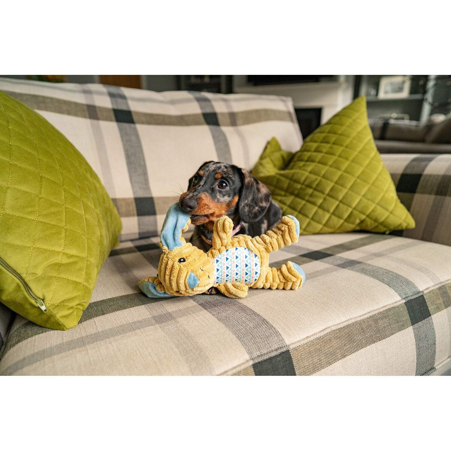 Great & Small Cuddle Me Knot Plush Rabbit Squeaky Dog Toy