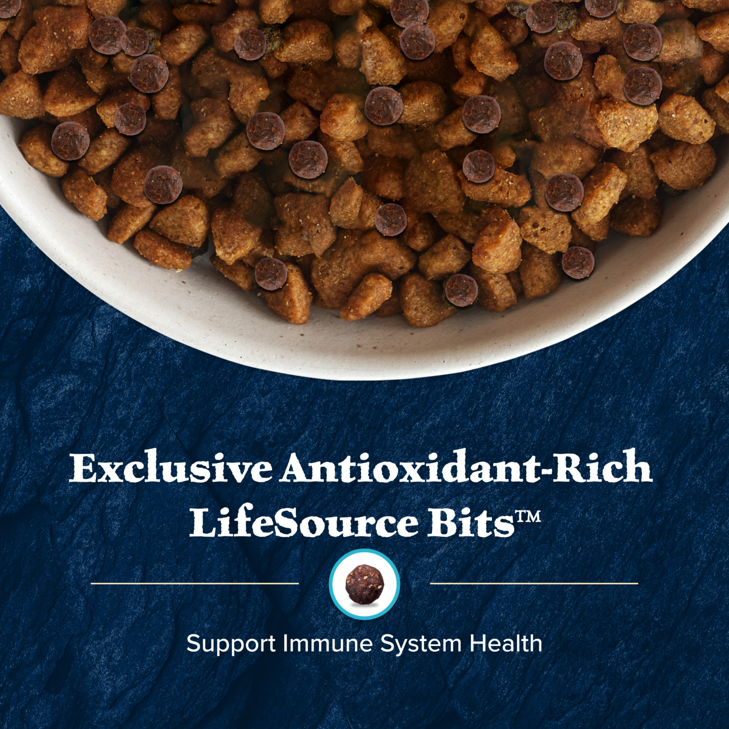 Blue Buffalo Wilderness Chicken Recipe High-Protein Puppy Dry Dog Food