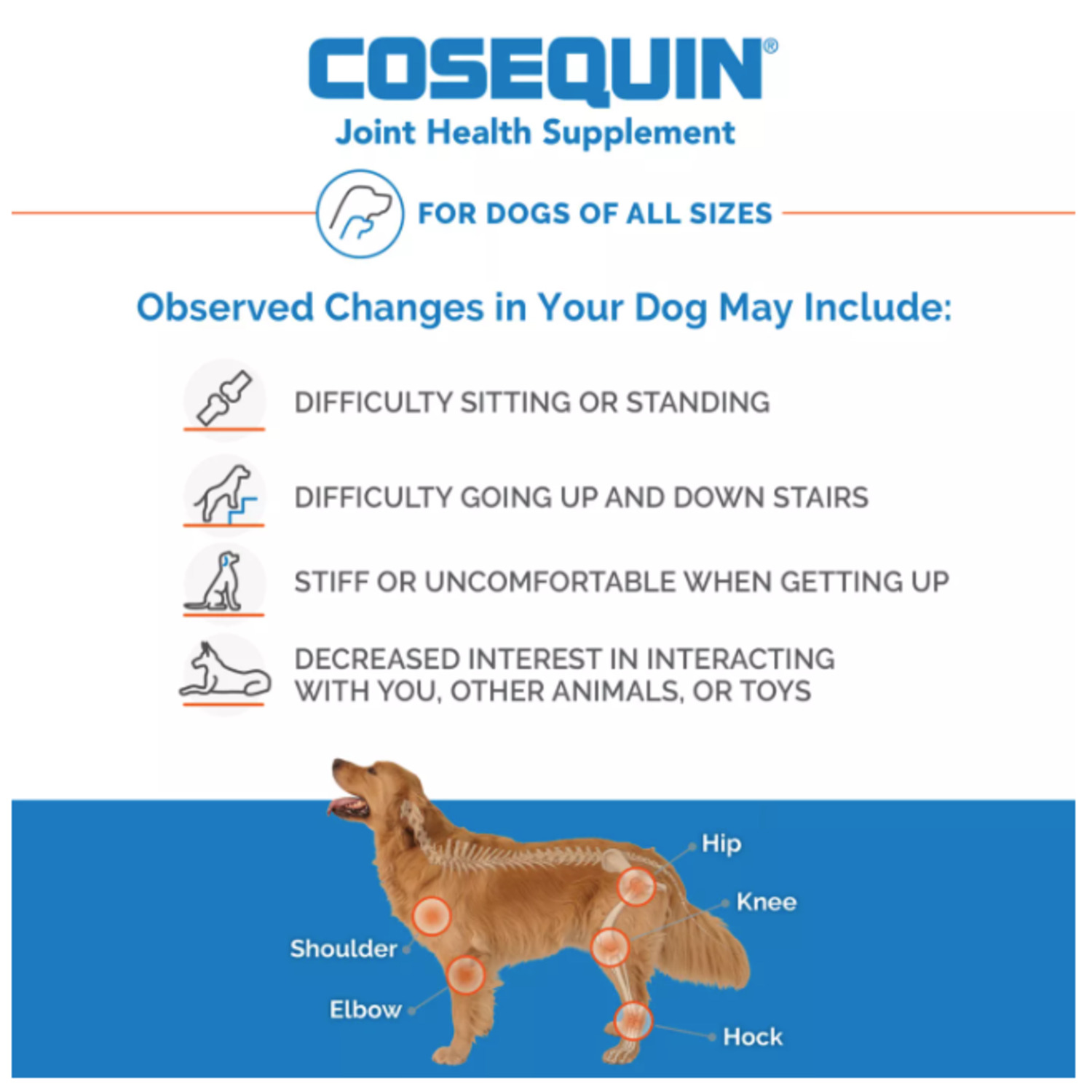 Cosequin Nutramax Ds Plus Msm Joint Health Supplement Soft Chews For Dogs