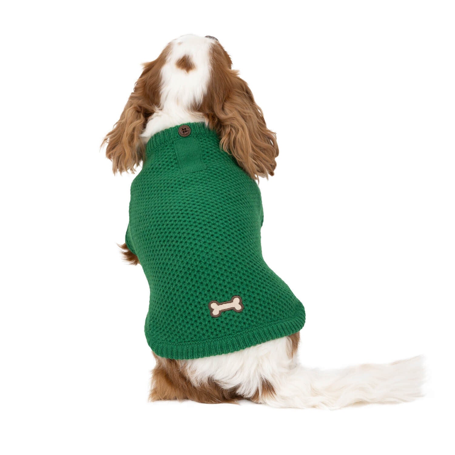 Simply Dog Green Henley Fall Pullover Dog Sweater