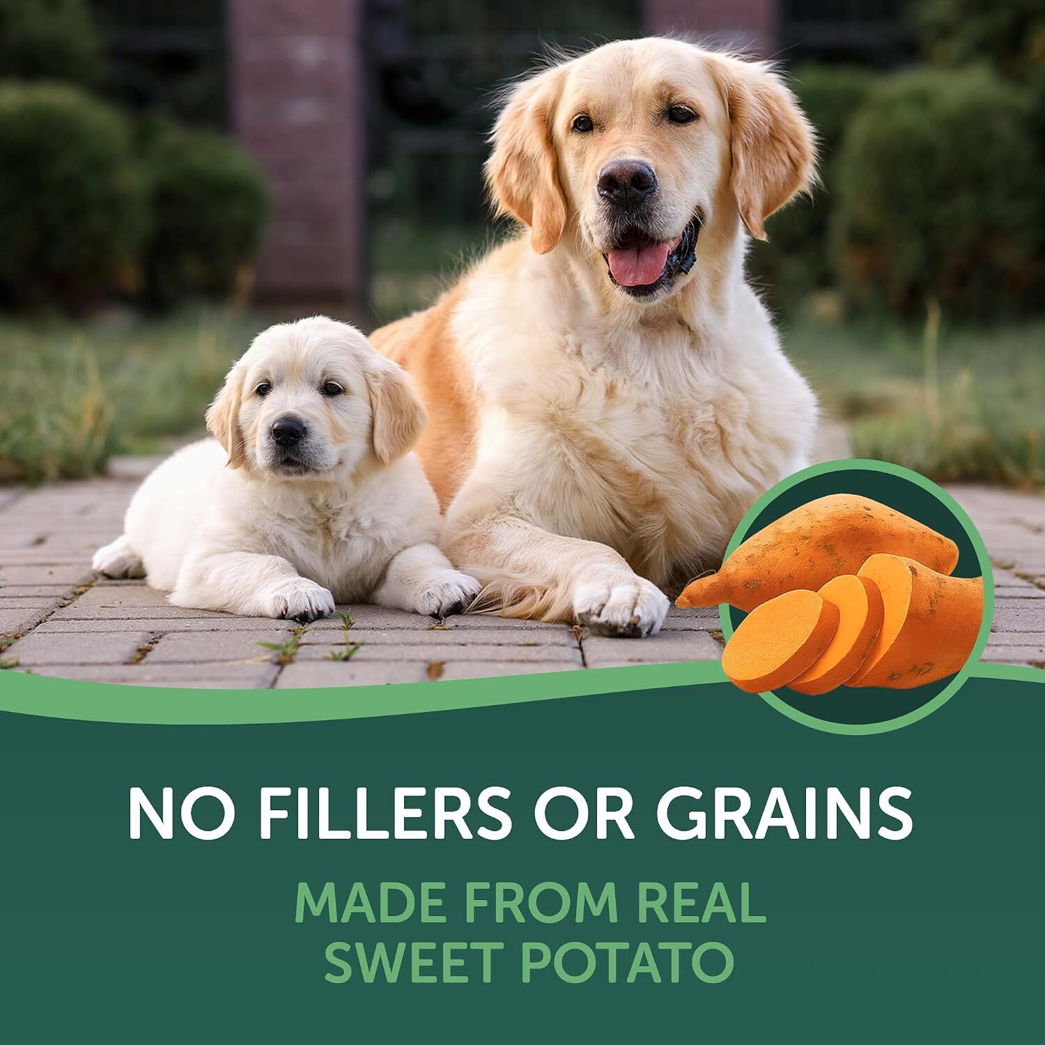 Healthfuls Sweet Potato Slices Natural Dog Treats, 16-Oz Bag