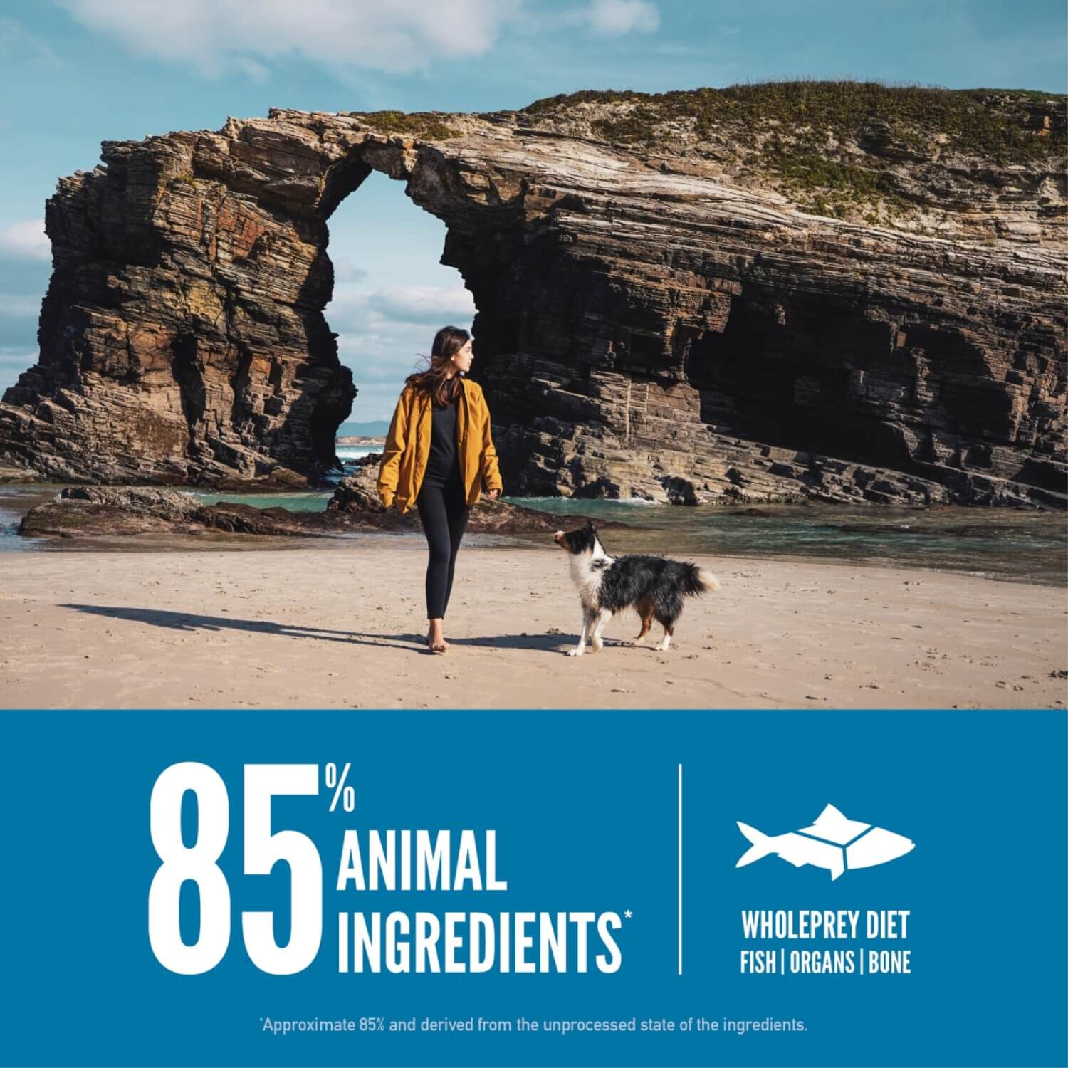 Orijen Six Fish Grain & Poultry Free Dry Dog Food