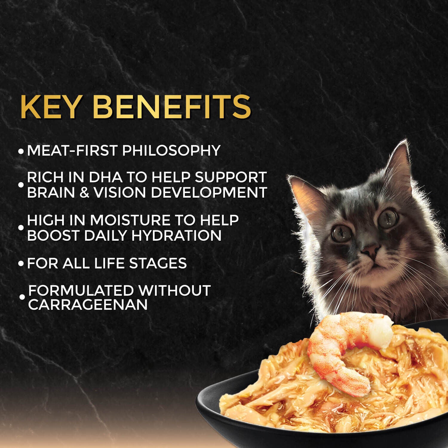 Fussie Cat Premium Wet Cat Food, Tuna With Prawns In Gravy - 2.62 Oz