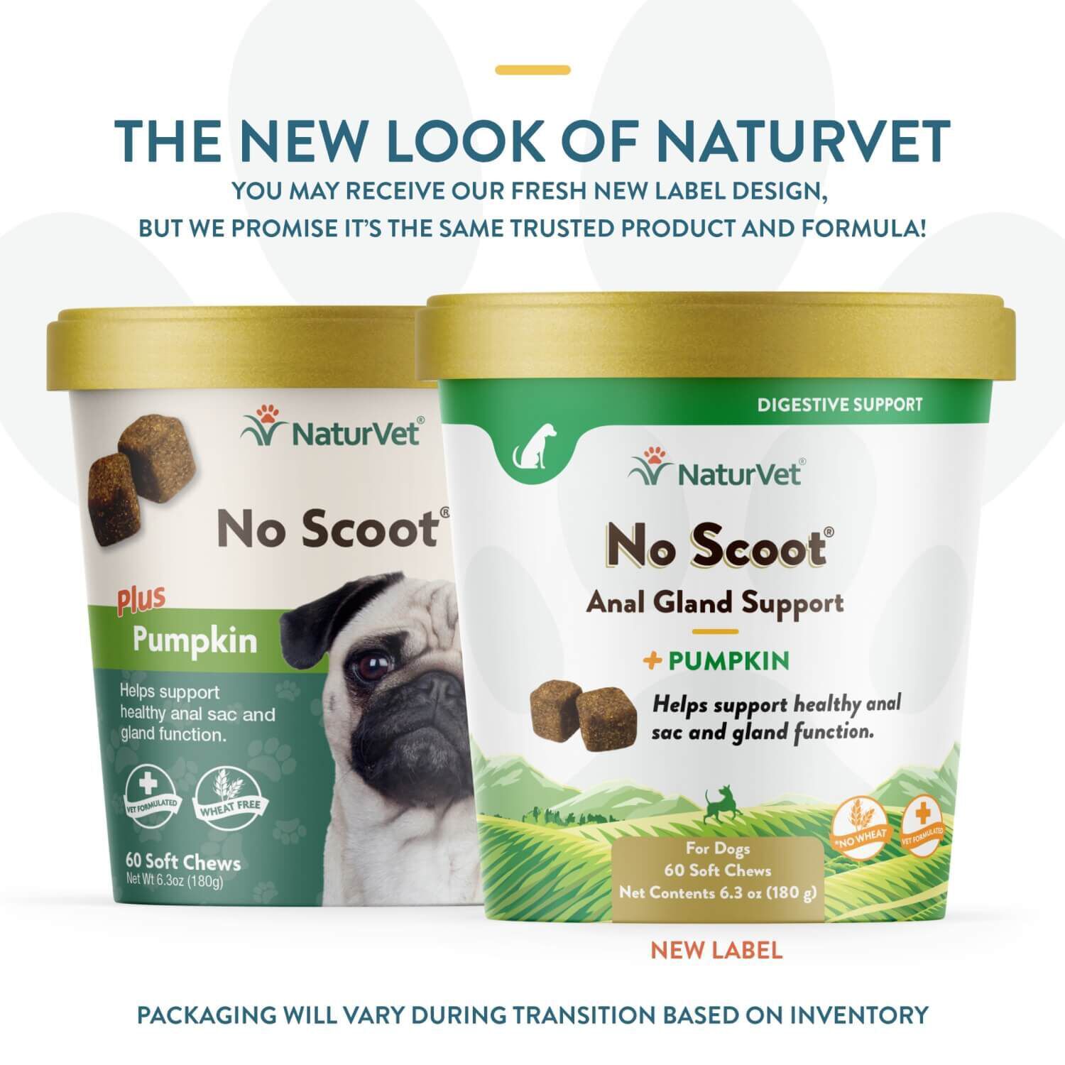 Naturvet No Scoot Anal Gland Support + Pumpkin Soft Chew Supplements For Dogs