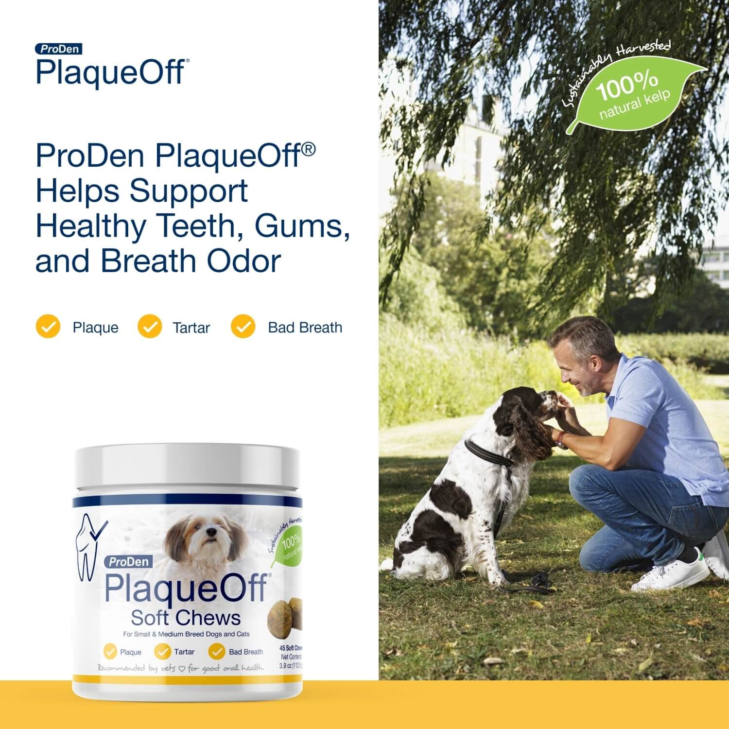 Proden Plaqueoff Dental Chews For Small To Medium Breed Dogs