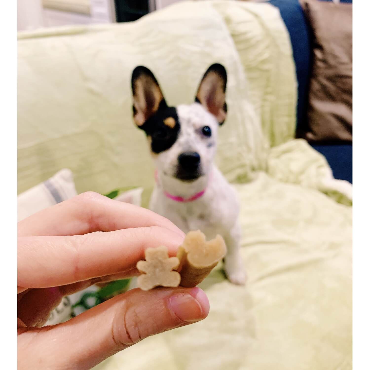 Whimzees Puppy Natural Grain Free Dental Chews For Dogs, Extra Small/Small Breed, 30 Count