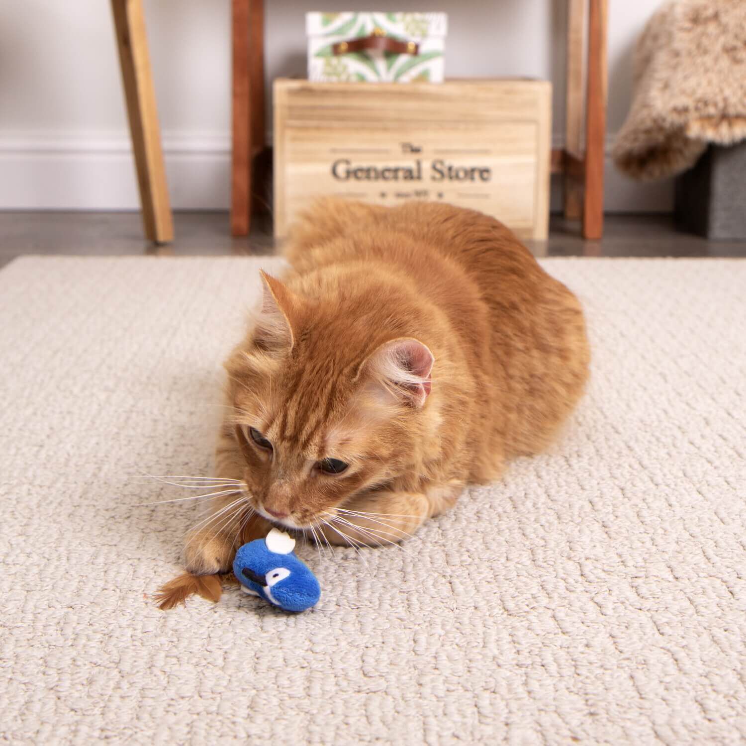 Instincts By Smartykat&reg; Chatty Chirp Plush Happynip Silvervine & Catnip Bird Electronic Sound Cat Toy