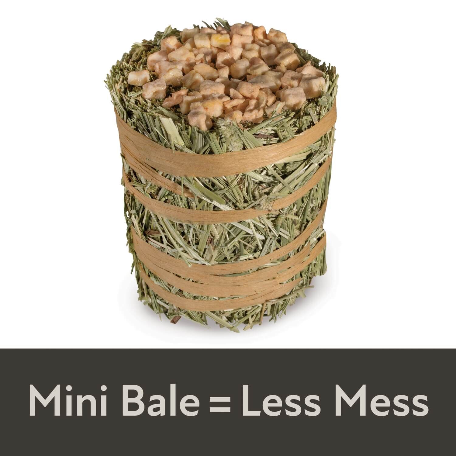 Kaytee Field+Forest By Mini Hay Bales, Apple