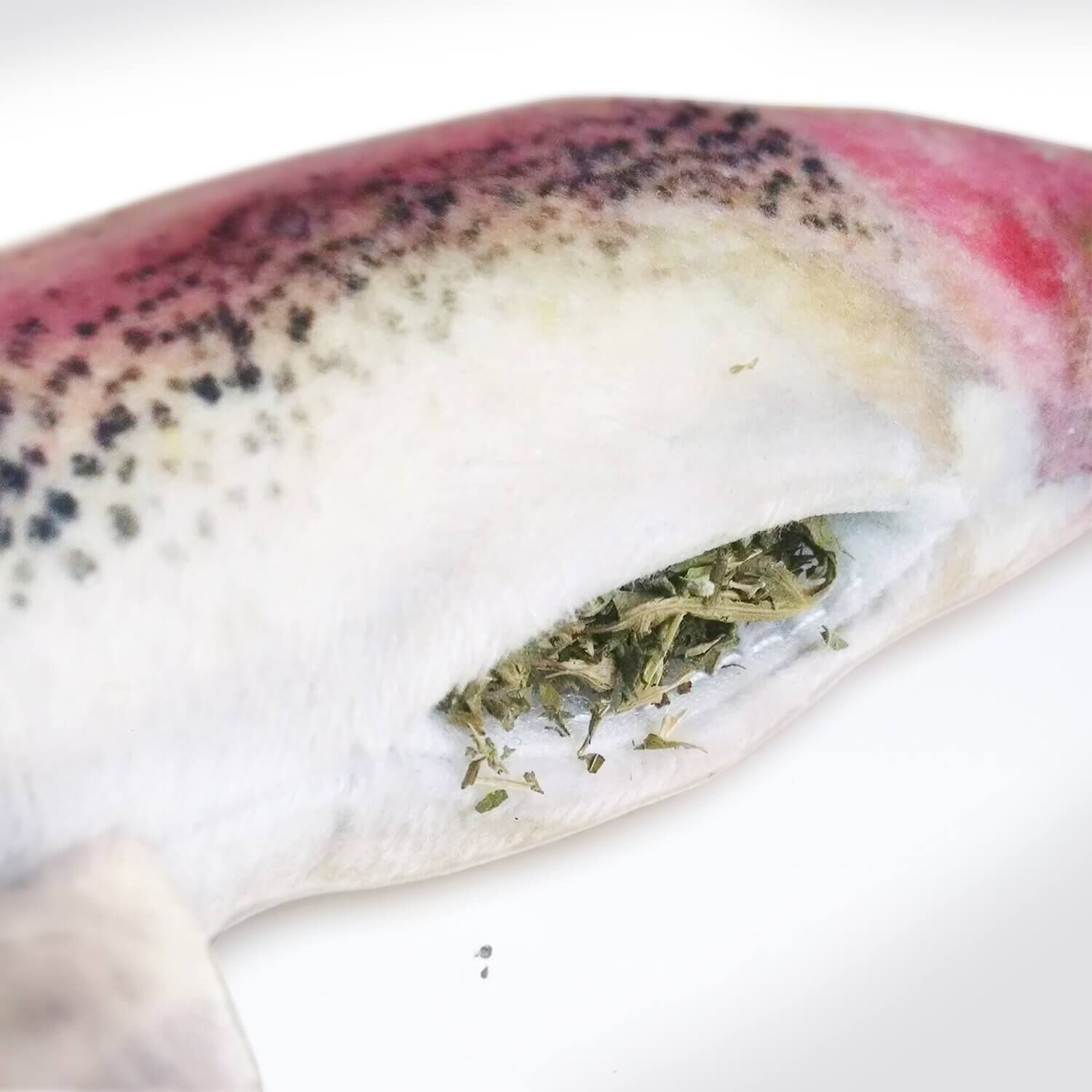 Meowijuana "Get Smoked" Rainbow Trout Refillable Catnip Cat Toy