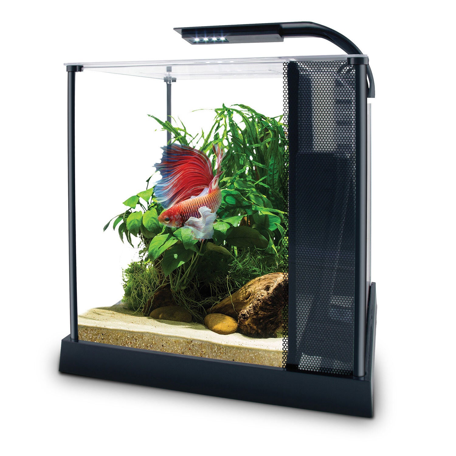 Fluval Premium Betta Kit - 10 L (2.6 Us Gal)