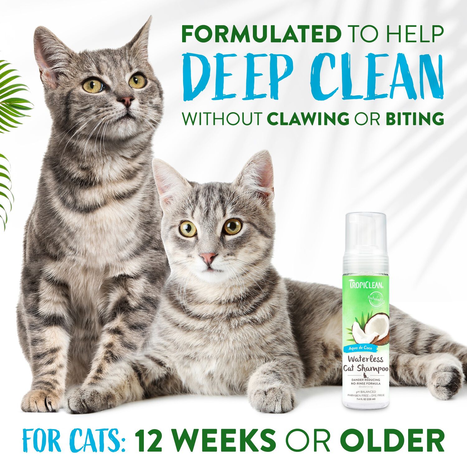 Tropiclean Dander Reducing Waterless Cat Shampoo, 7.4Oz