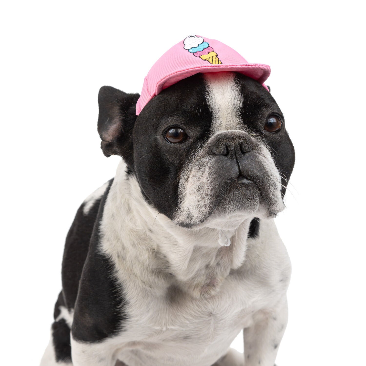 Simply Dog Pink Ice Cream Baseball Cap Dog Hat