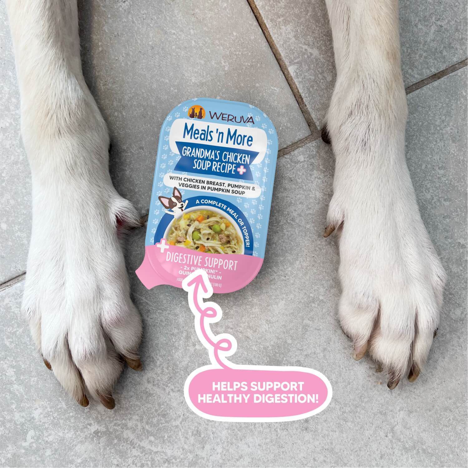 Weruva Dog Meals 'N More Natural Grandma's Chicken Soup Recipe Plus Digestive Support Wet Dog Food