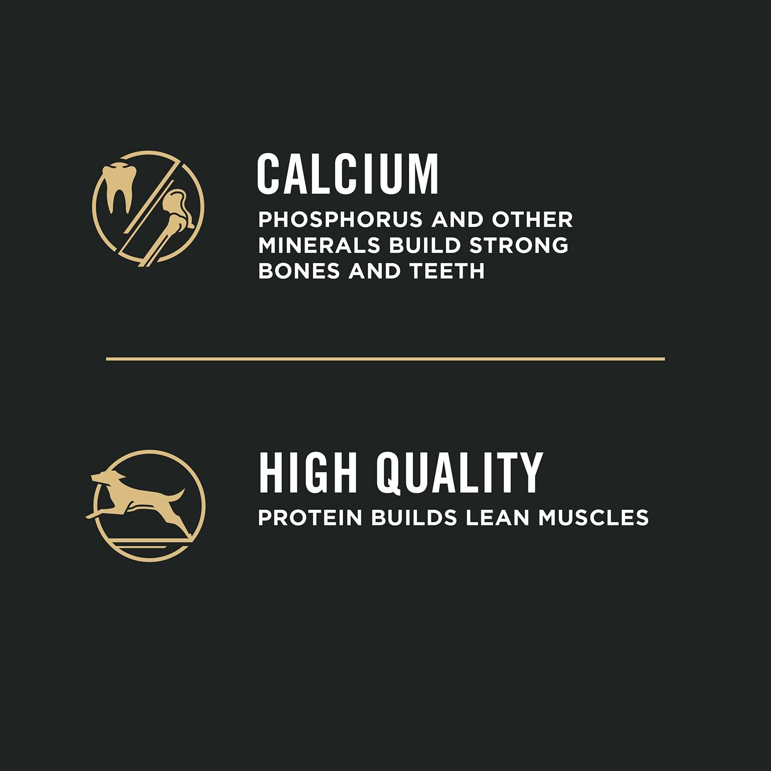 Purina Pro Plan Shredded Blend Chicken & Rice Puppy Formula Dry Dog Food