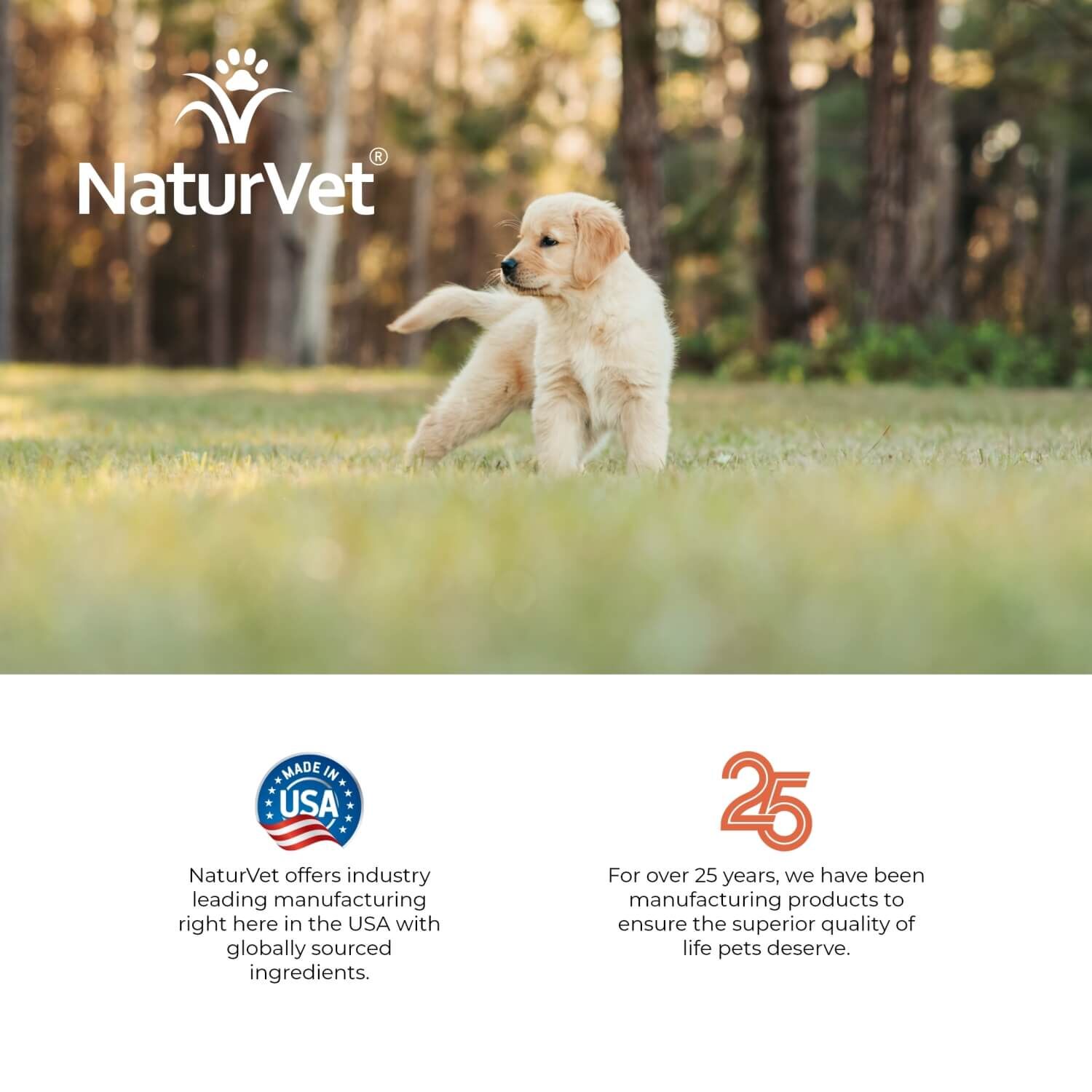 Naturvet Potty Here Dog Training Aid