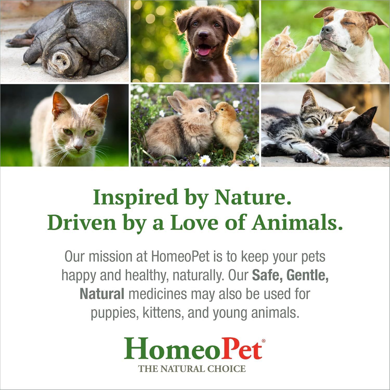 Homeopet Feline Uti Plus Cat Urinary Care Relief, 15Ml