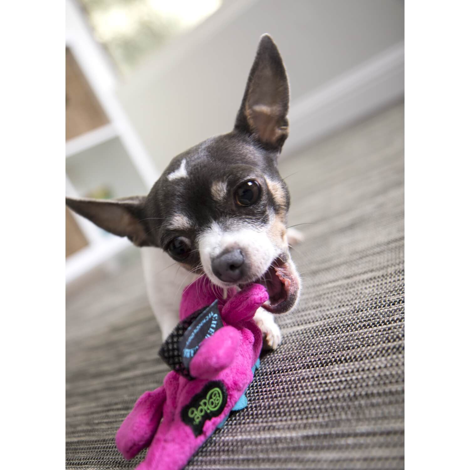 Godog Just For Me Gators Squeaky Plush Dog Toy - Pink Mini