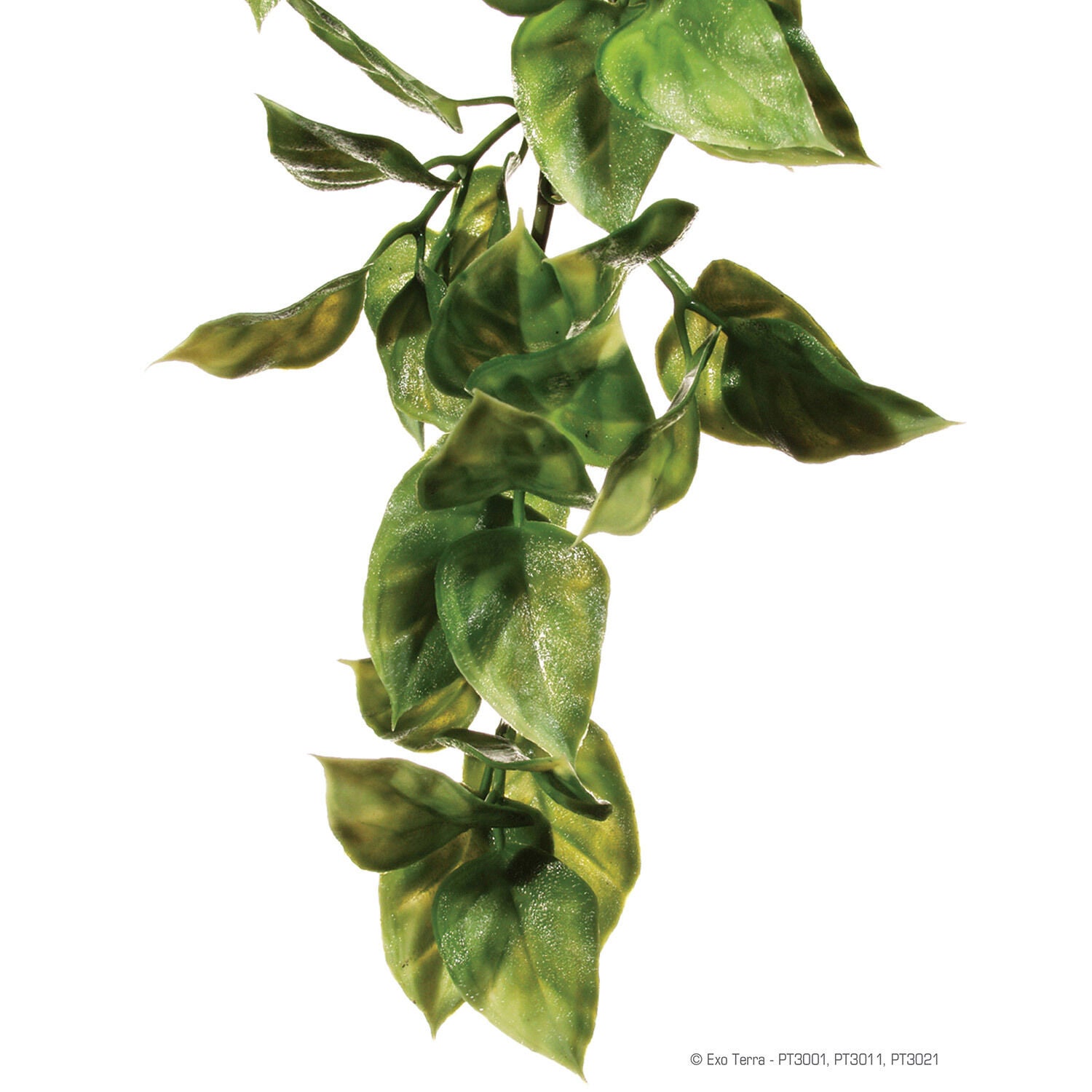 Exo Terra Plastic Amapallo Plant For Reptile Enclosures