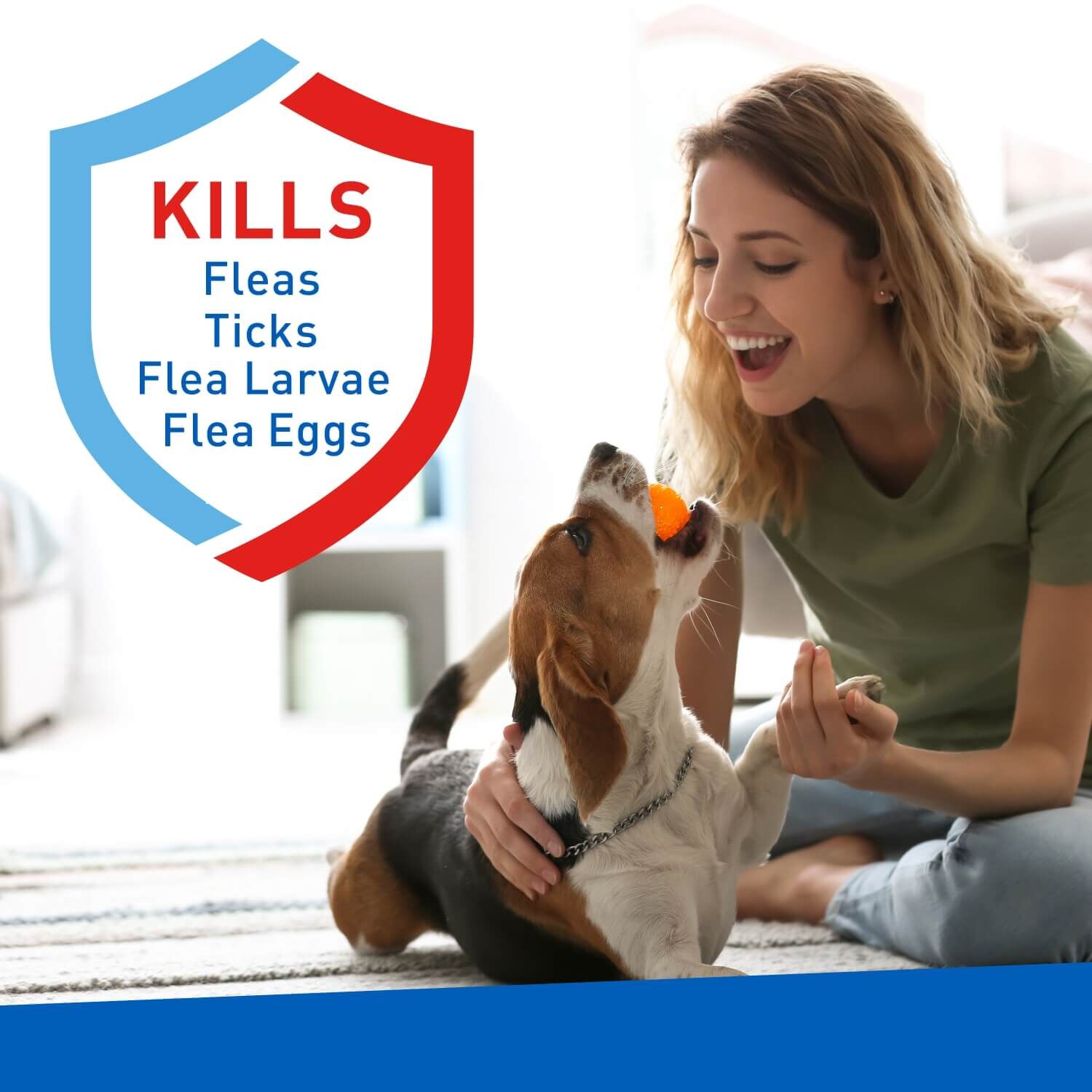 Adams Plus Flea & Tick Carpet Powder