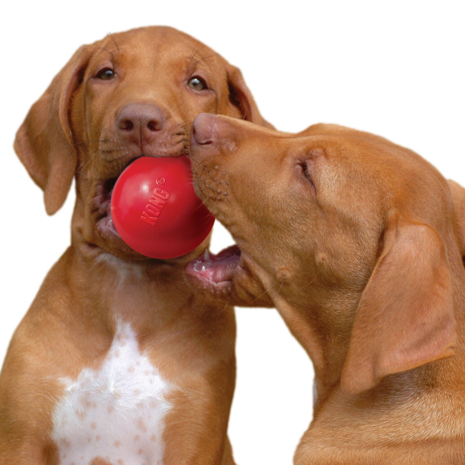 Kong Classic Red Rubber Ball Durable Dog Toy, 2.5"