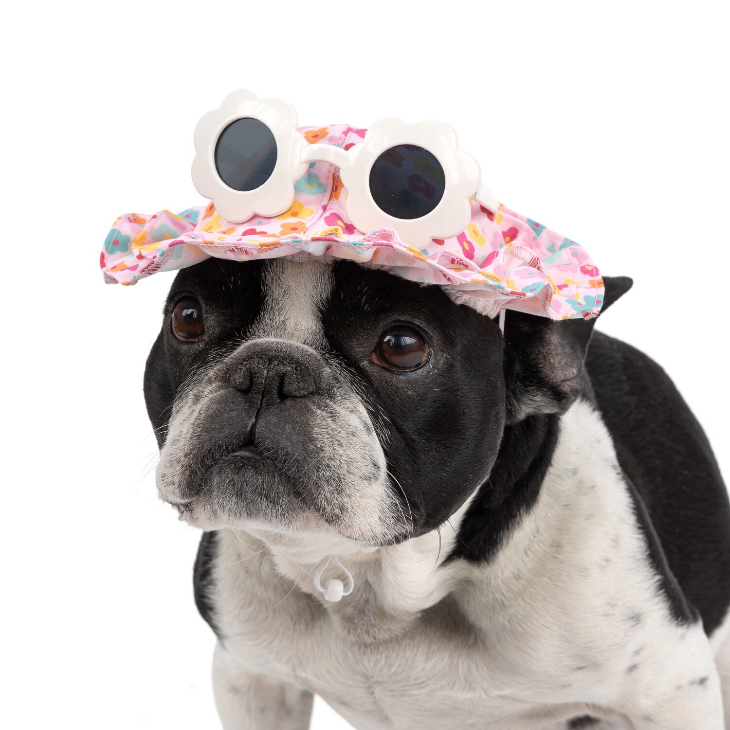 Simply Dog Floral Ruffle Dog Hat With Sunglasses