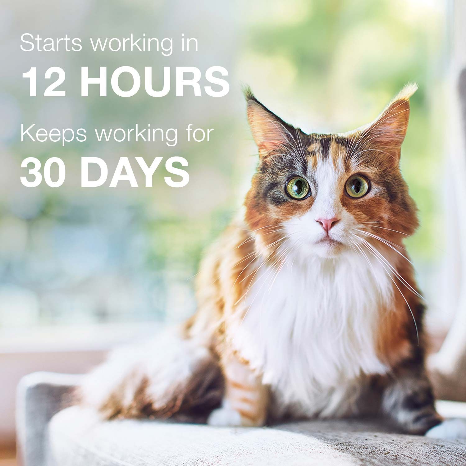 Advantage Ii Flea Treatment For Cats And Kittens, 2 To 5 Lbs