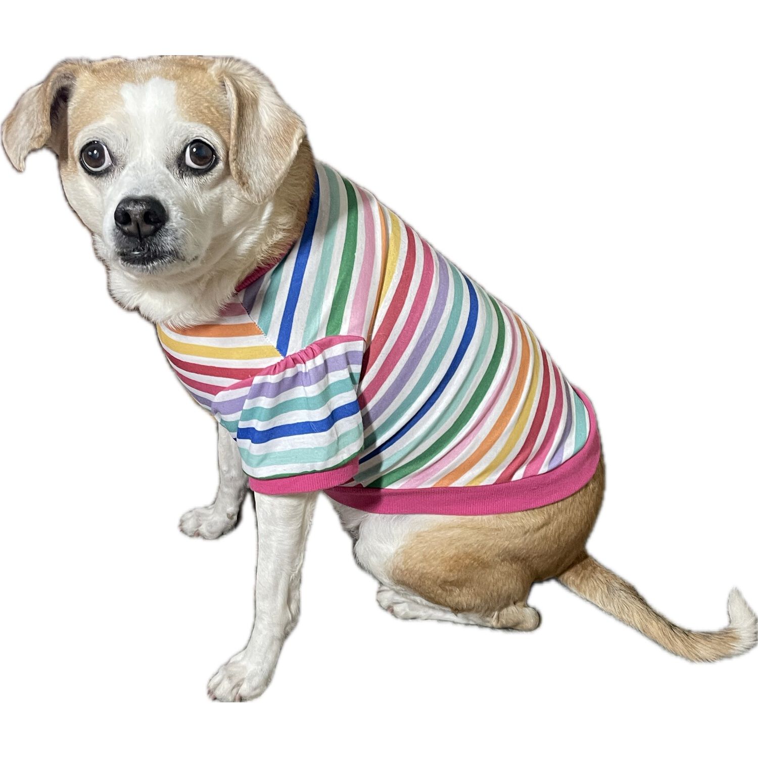 Simply Dog Puff Sleeve Striped Dog Shirt, Rainbow Colors