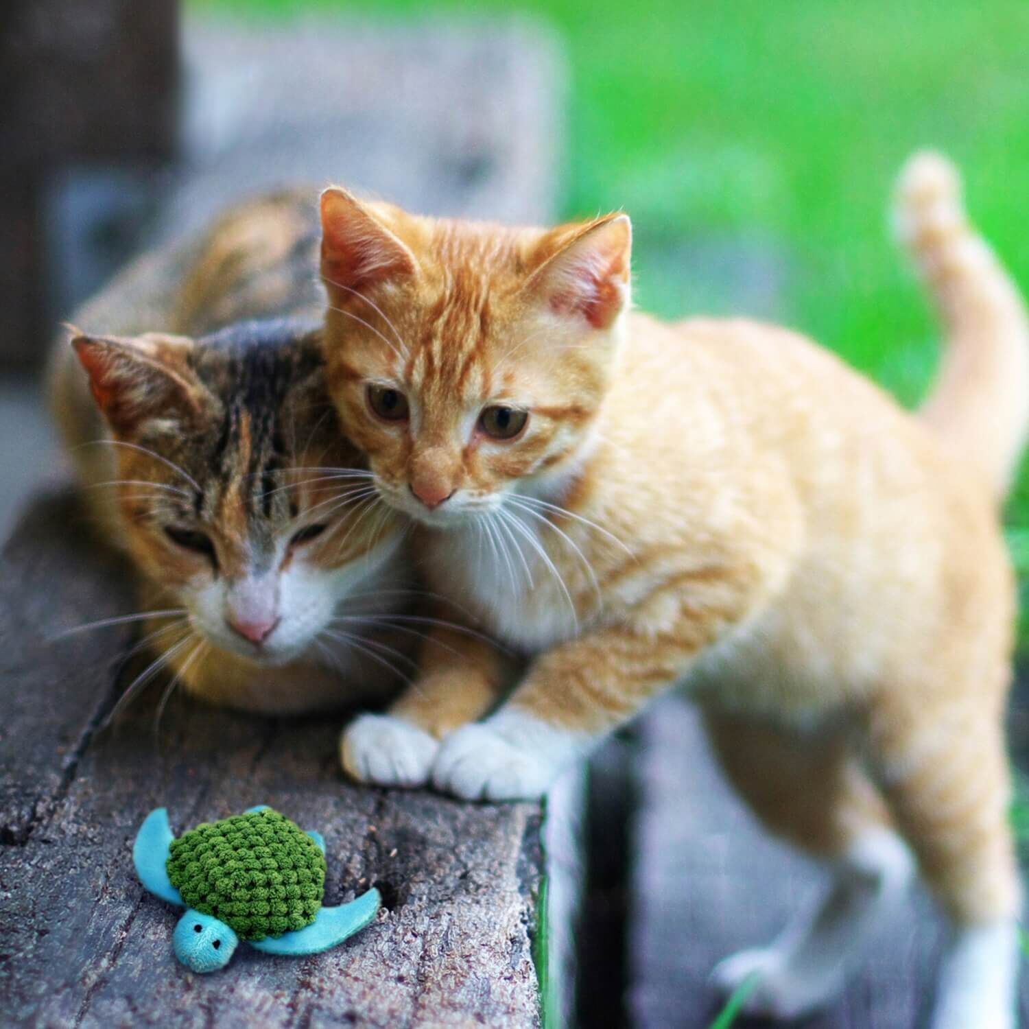 Kong Refillables Turtle Catnip Cat Toy