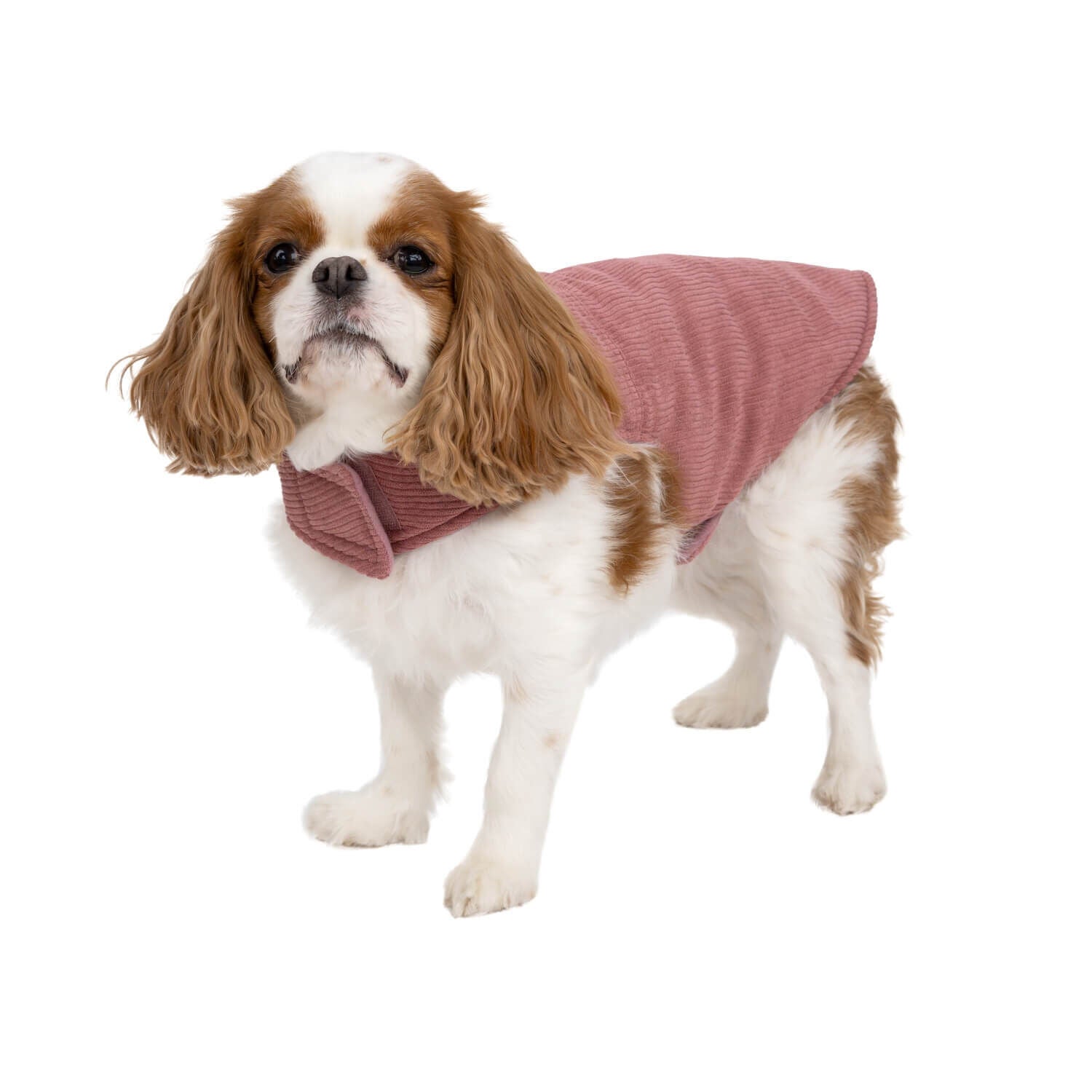 Simply Dog Pink Corduroy With Sherpa Collar Fall Dog Jacket